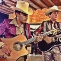 Toro Encartado(Con Bajo)_Ariel Camacho