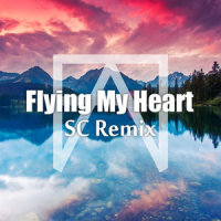 Flying My Heart_Stormcoming,DiESi