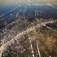 Anything You Synthesize (Ambient)_The American Dollar