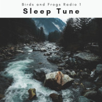 Pure Islands of Nature Noises for Instant Sleep pt. 2_Lumen,Smoothe Sounds,Aquagirl,Hi Freq Samples