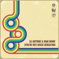(You're My) Disco Sensation_DJ Antoine,Mad Mark