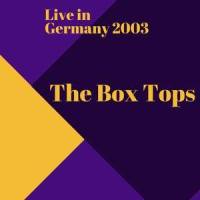 Neon Rainbow_The Box Tops