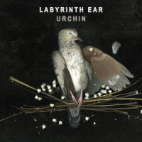 Urchin_Labyrinth Ear