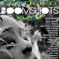 Too Watchy_Collie Buddz