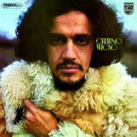 If You Hold A Stone_Caetano Veloso