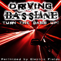 Stereo Love_Electric Fields