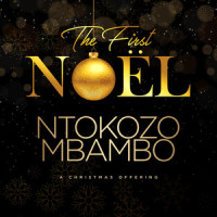 It Is Amazing_Ntokozo Mbambo