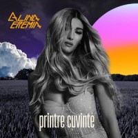 Printre Cuvinte_Alina Eremia