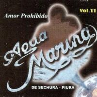 Tu Amor Fue una Mentira_Agua Marina