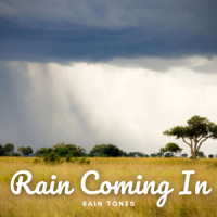 Rain noise_ASMR Rain Sounds,Rain Paris,The Sound of the Rain