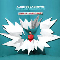 Catastrophe_Albin De La Simone
