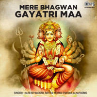 Brahma Murari_Alka Yagnik