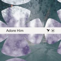 Holy Child_Vineyard Worship,Darren Varieur