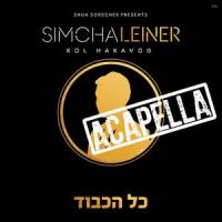 Ani Maamin Through the Ages_Simcha Leiner