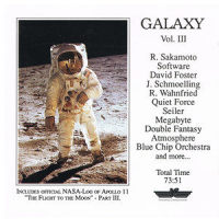 Flight of the Snowbirds_David Foster