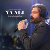 Dil Hai Tera Ghar Ya Ali_Shafqat Amanat Ali