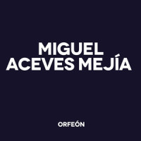 Crucifijo de Piedra_Miguel Aceves Mejía