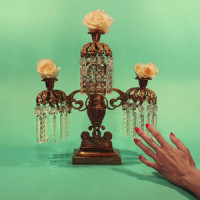 Plant Lilies at My Head_Tropic of Cancer