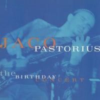 Punk Jazz_Jaco Pastorius
