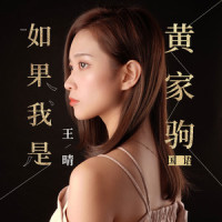 如果我是黄家驹_王晴