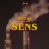 Sens(feat. Whatwatt)_Moose,Whatwatt