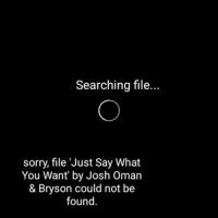 Just Say What You Want(feat. Bryson)_Josh Oman,Bryson