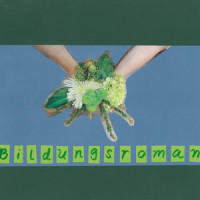 Bildungsroman_Chase Petra