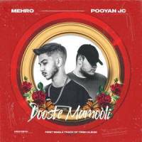 Dooste Mamooli_Mehro,Pooyan Jc