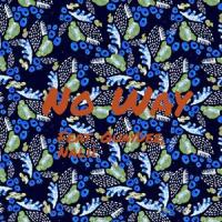No Way(feat. Nalii & QuayDee)_Erik Cain,NaLii,QuayDee