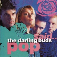 I'll Never Stop_The Darling Buds