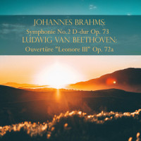 Symphonie No. 2 in G Major, Op. 73: III. Allegretto grazioso_Wiener Philarmoniker,Wilhelm Furtwängler