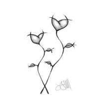 Passionflower_Jon Gomm