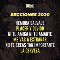 Hembra Salvaje / Placer y Olvido / Ni Tu Amiga Ni Tu Amante / Me Vas a Extrañar / No Te Creas Tan Importante / La Cerveza_Banda Mix,E.Vidrio,Nicolas Estades,Agustina Padilla,Horacio Palencia,Ricardo Orrantia Martínez,Juan Carlos Fusco Claudio