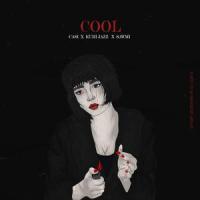 Cool_Casi,Kuri JaZz,Sawmi,Kurosh Beygvand,amirmellogame,ZinK
