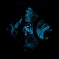 Wolfpack_Blind Channel
