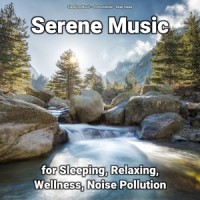 Great Zen Music for Toddlers and Adults_Sleeping Music,Instrumental,Deep Sleep