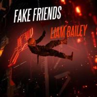 Fake Friends_Liam Bailey