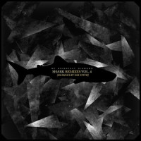 Ice & The Storm_My Brightest Diamond