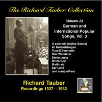 Si vou l'aviez compris (Sung in German)_Richard Tauber,Berlin Grossen Schauspielhause Orchestra,Ernst Hauke