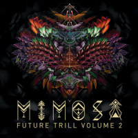 Turbo_mimosa