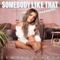 Somebody Like That (Acoustic)_Tenille Arts