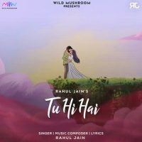 Tu Hi Hai_Rahul Jain