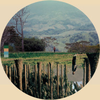 Contours of Spring_Edwin Raphael,Edwin Babu,Jacob Liutkus,Collin Steinz,Sam Martel,John David Tanton