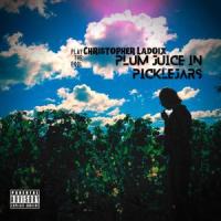 Plum Juice In Pickle Jars_Christopher Ladoix