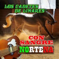 Un Corazón Amargado_Los Cadetes De Linares