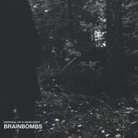 True Master_Brainbombs