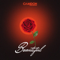 Beautiful_Camidoh