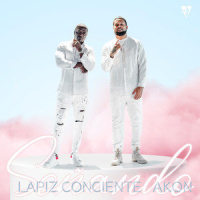 Soñando_Lapiz Conciente,Aliaune Damala Badara Akon Thiam,AVELINO JUNIOR FIGUEROA RODRIGUEZ,Ralph Leitner,Emmanuel Genao Placencia,Akon