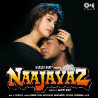 Tujhe Pyar Karte Karte_Alka Yagnik