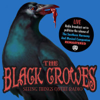 Hotel Illness_The Black Crowes